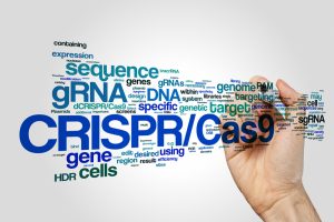 Aggressive Treatment of Early Lung Cancer Improves Survival pictures Aggressive Treatment of Early Lung Cancer Improves Survival pictures