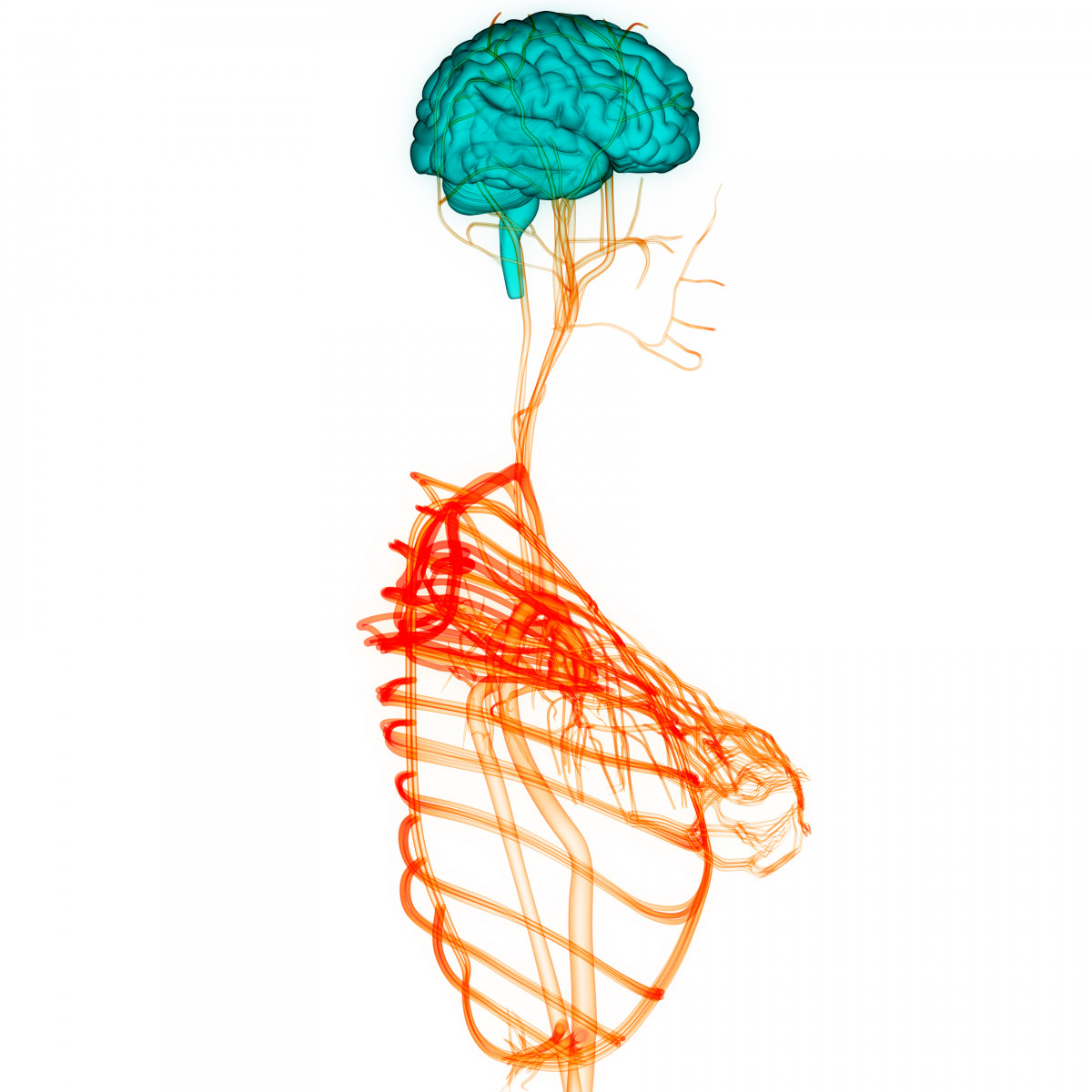 Discussion on this topic: Blinatumomab, blinatumomab/ Forum on this topic: Blinatumomab, blinatumomab/