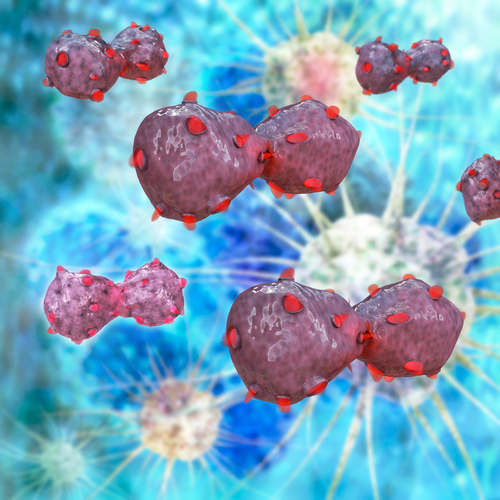 Innovative Pancreatic Cancer Combination Immunotherapy