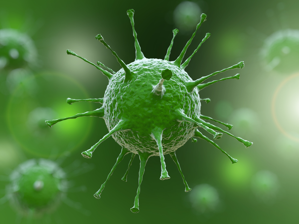 Endogenous Retroviruses Linked to Benefic Immune Responses
