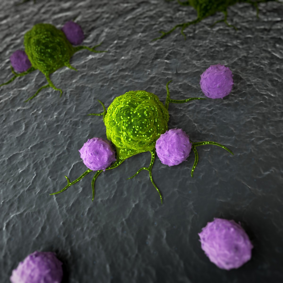 Researchers Identify Neutrophil Populations Implicated In Cancer