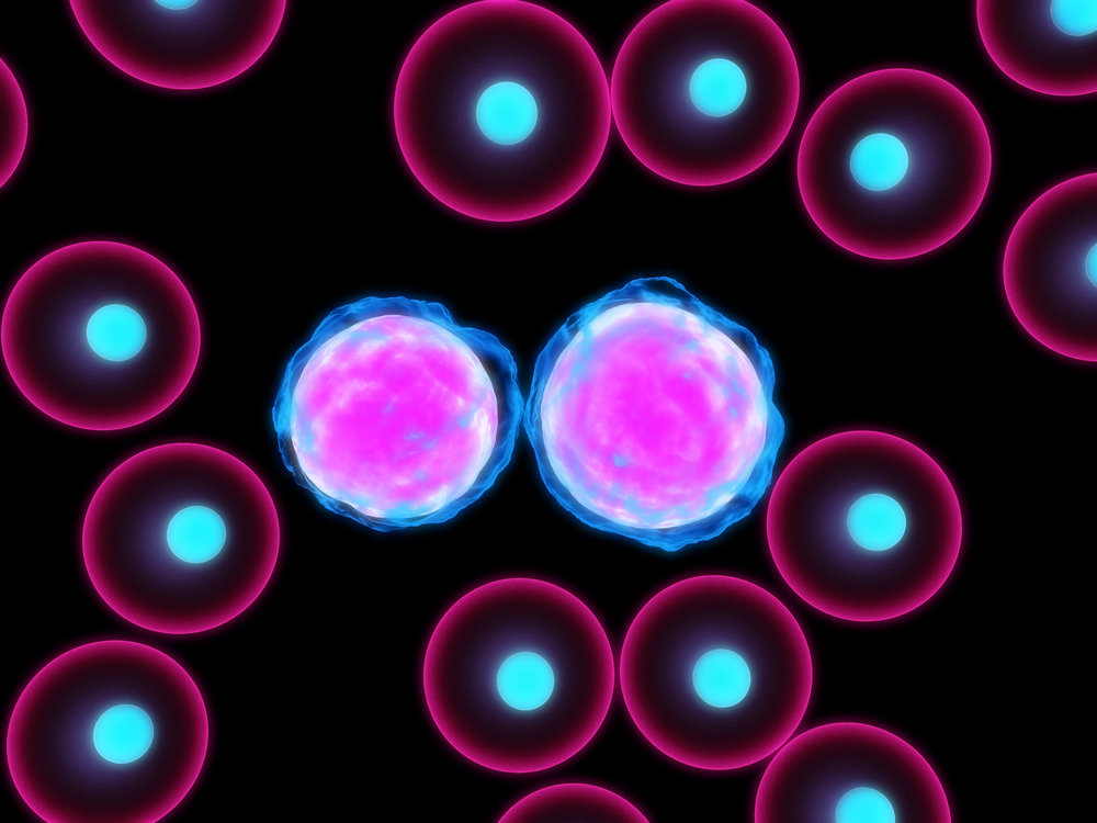 Leukemia Cells Transformed Into Non-Cancerous Immune Cells