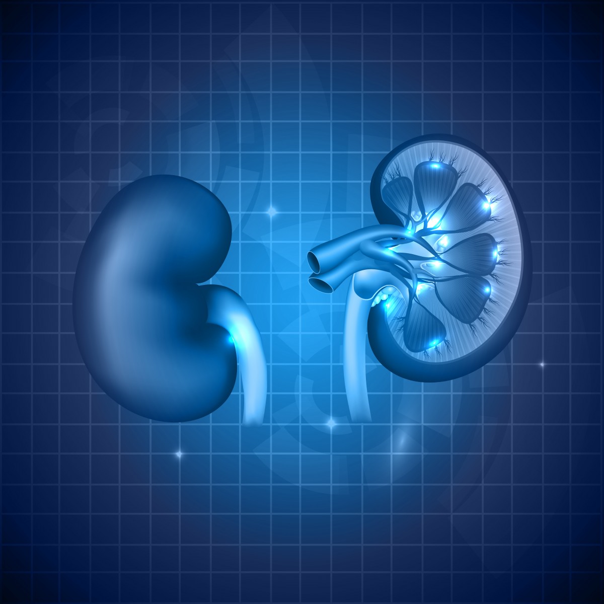 Argos’ Cell Immunotherapy Phase 3 Trial for Advanced Renal Cancer is Recruiting Patients