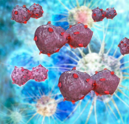 Bim Marker May Predict Malignancy’s Response to Immunotherapy