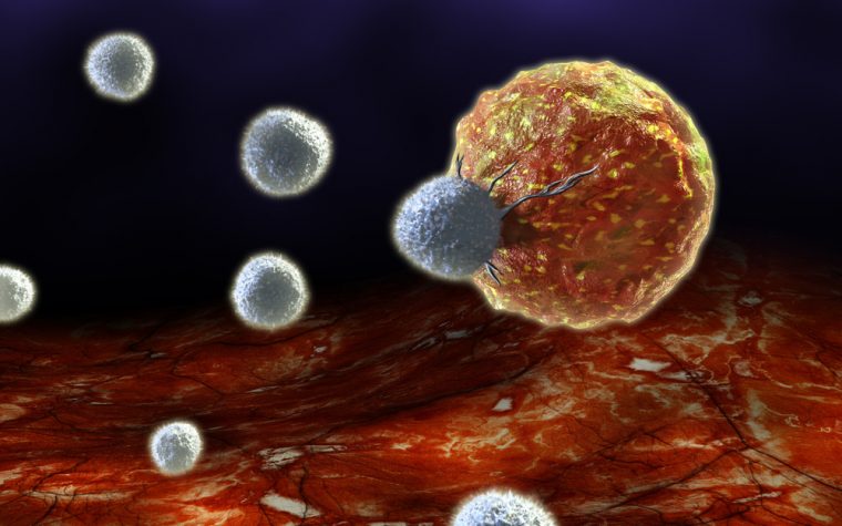 T-cells and tumors