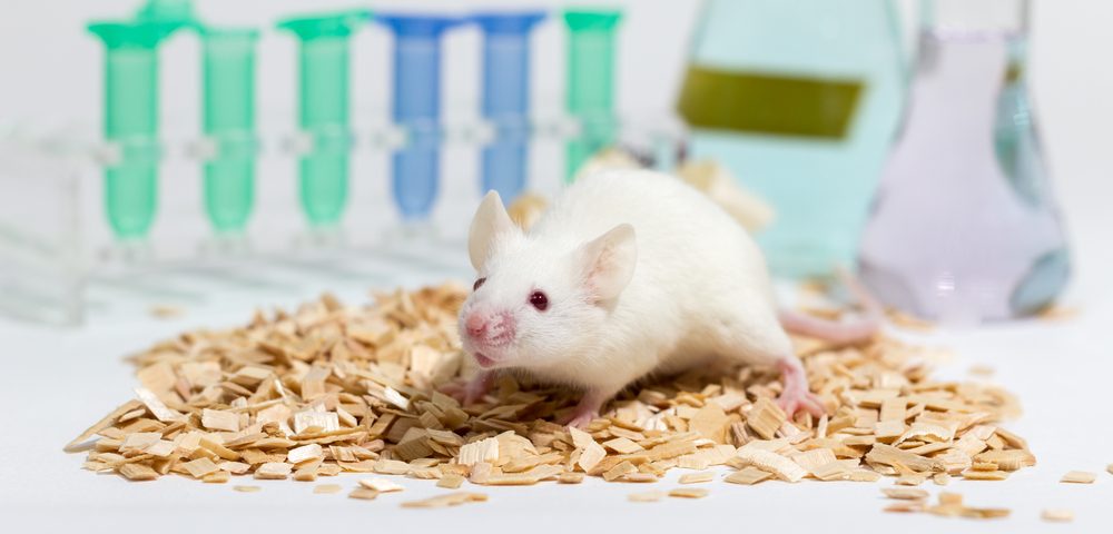 Radiation Combined with Immunotherapy Seems to Improve Lung Cancer Outcomes in Animal Models
