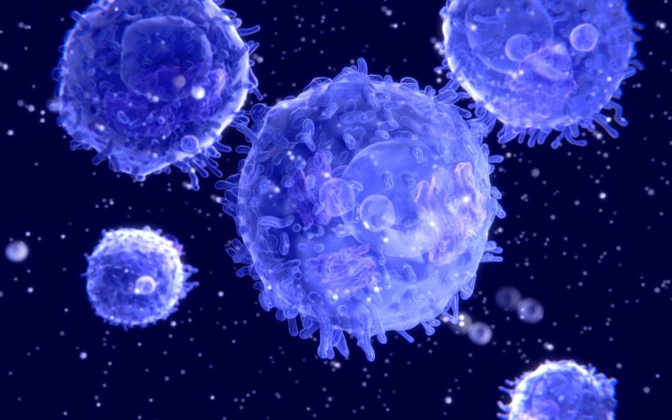 Targeted immunotherapy against ovarian cancer considered "breakthrough."
