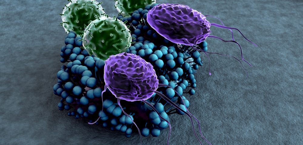 Researchers Discover How Immune System T-Cells Determine Function