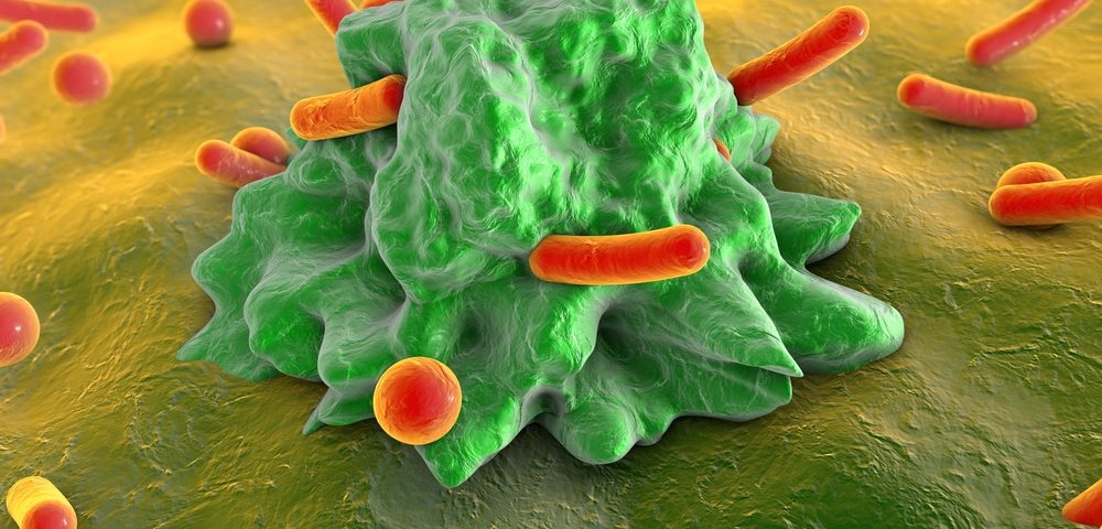 Blocking Macrophage Protein May Be Key to Improving Response to Cancer Immunotherapies