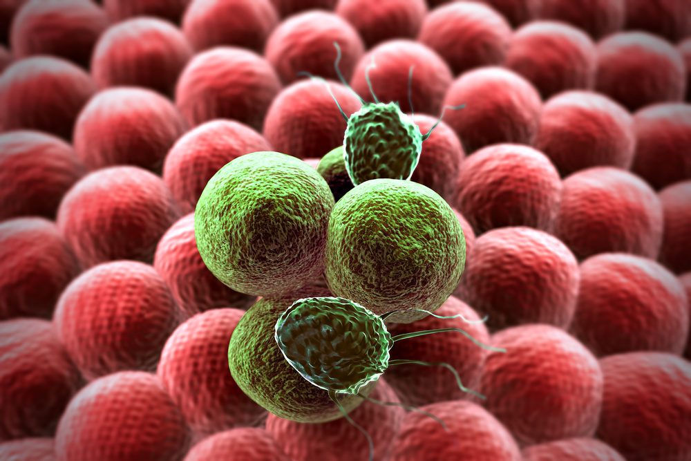 Study reveals insights into how cancer cells evade treatment