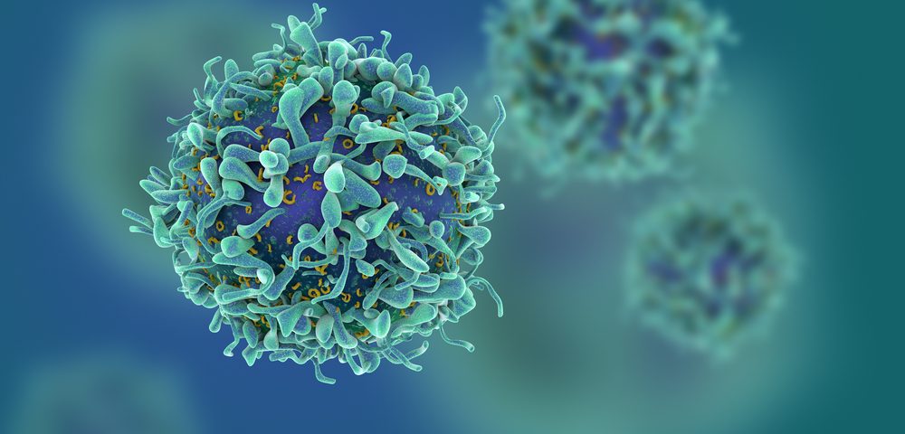 Researchers Closer to Improving Immunotherapy by Prolonging Life of Killer T-cells