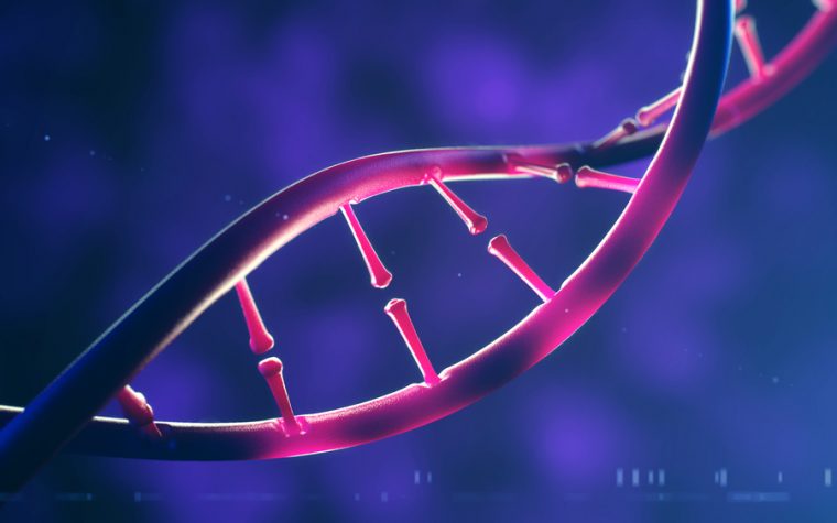 DNA editing technique
