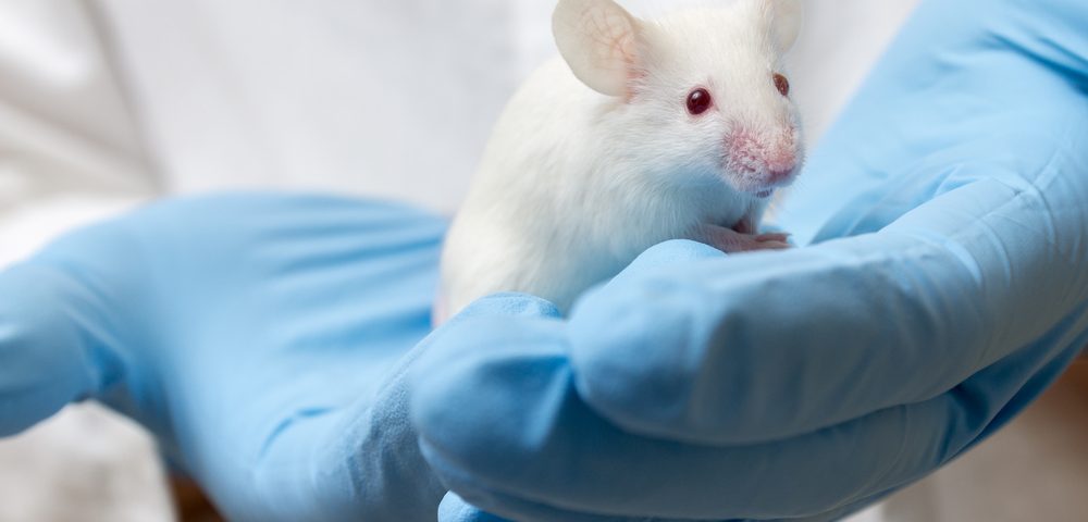 Potential CAR T-cell Therapy Targeting ROR1 Seen to Clear Cancer in Leukemia Mouse Model
