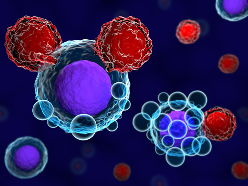 Study Explains Checkpoint Inhibitors’ Efficacy in PD-L1 Negative Tumors