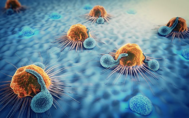 antibody therapy and cancer