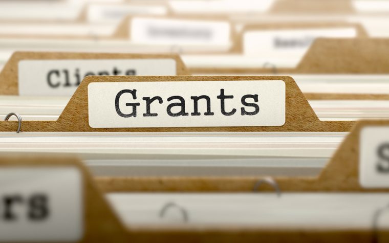 Immunotherapy research grants